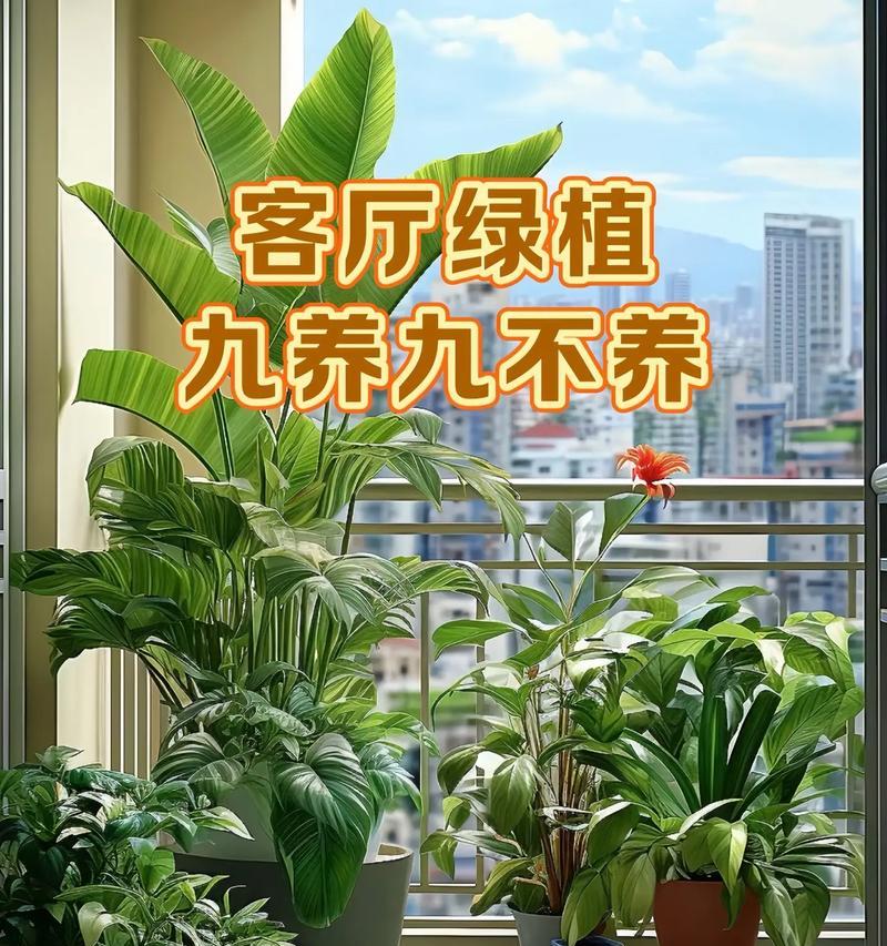 搬家时送什么花卉绿植好？户外植物有哪些选择？