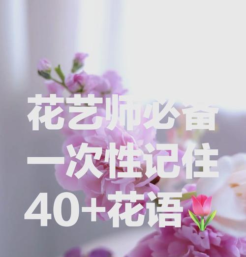 什么花的花语是道歉？哪种花代表歉意？