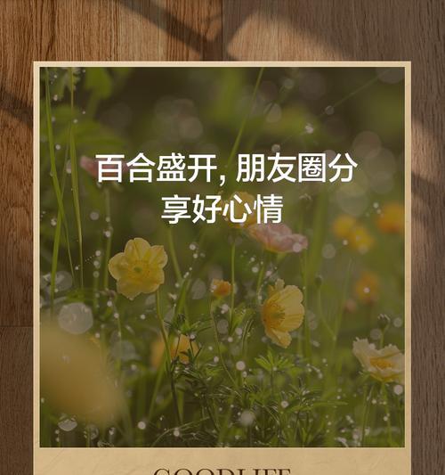 百合盛开的美好寓意是什么？