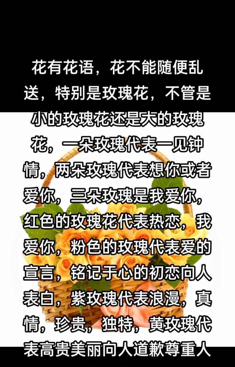 粉色玫瑰的花语是什么？它在送礼时传达了哪些情感？