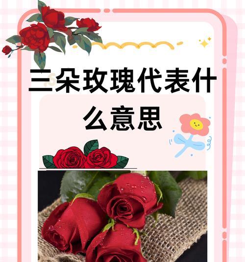 16朵玫瑰的花语是什么？送16朵玫瑰花有何特殊含义？