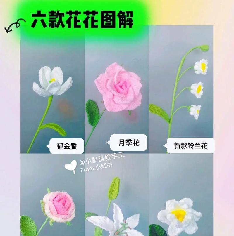 玫瑰花与栀子花的区别是什么？