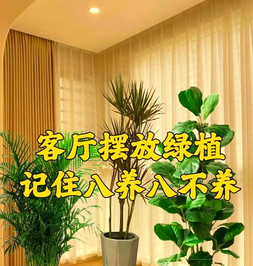 家里适合养哪些植物？室内植物的选择标准是什么？