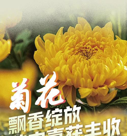 清明节前花卉为何会开花？