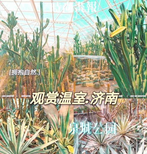 植物园热带植物馆如何预约？预约时需要准备什么？