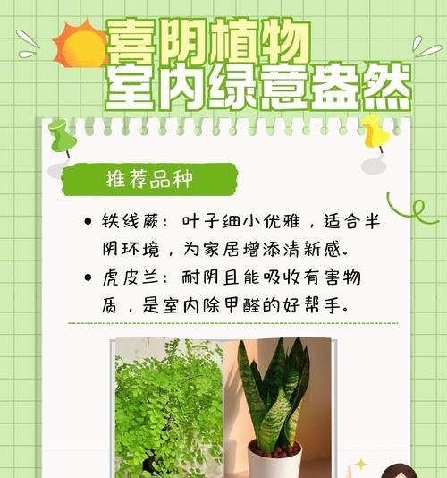 哪些植物为绿植植物类别？绿植植物有哪些特点？