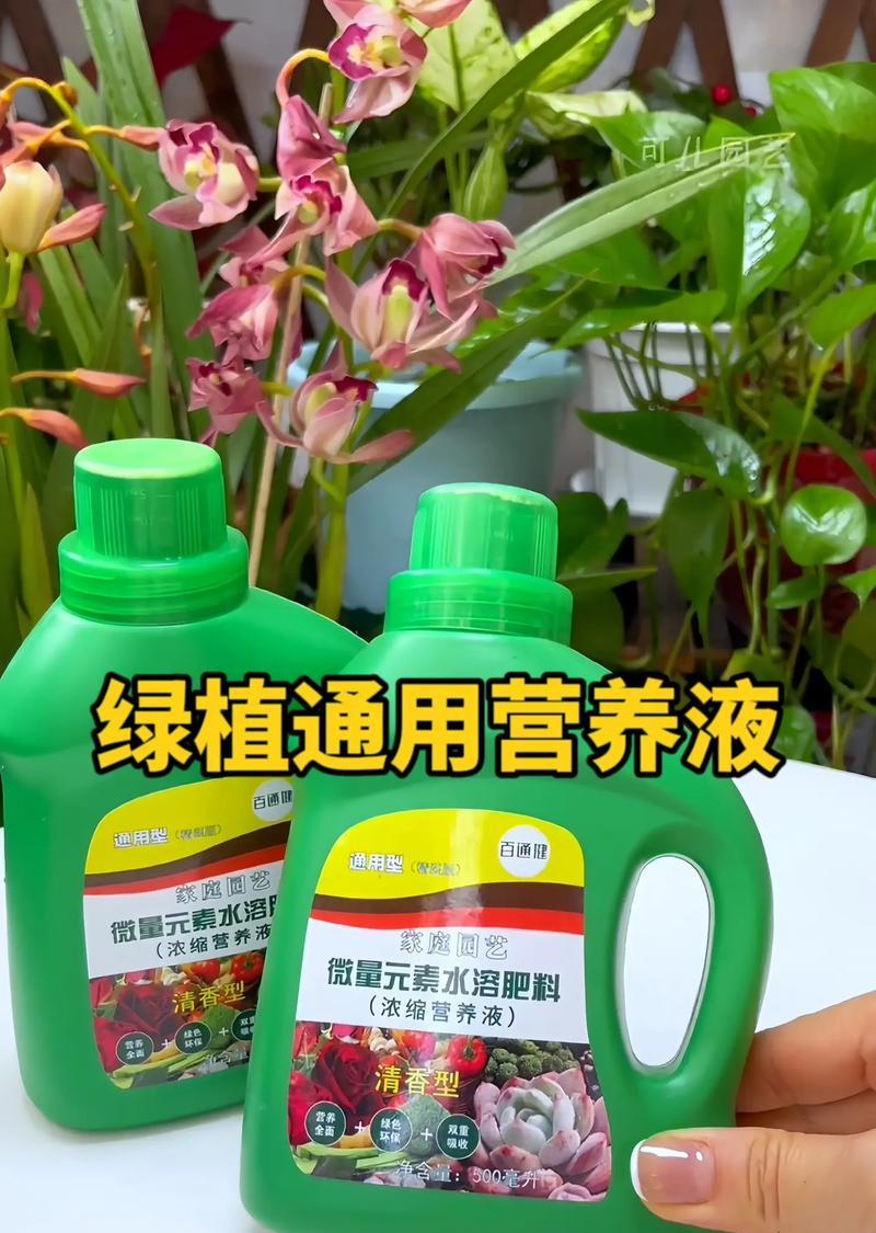 植物黑水营养液对花卉有哪些益处？