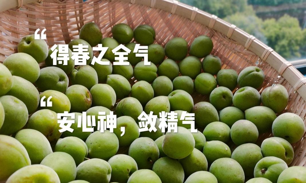 话梅植物的养殖方法是什么？养殖过程中应注意什么？