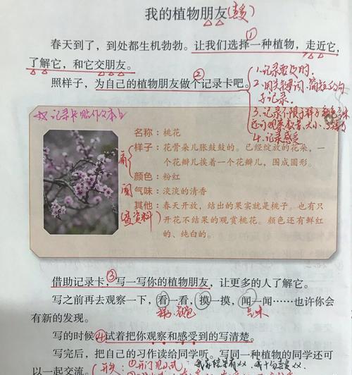 如何撰写莲花植物观察笔记？记录哪些要点？