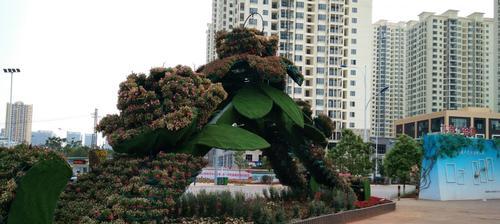 万悦城附近有哪些花卉市场？这些市场里有哪些特色植物？