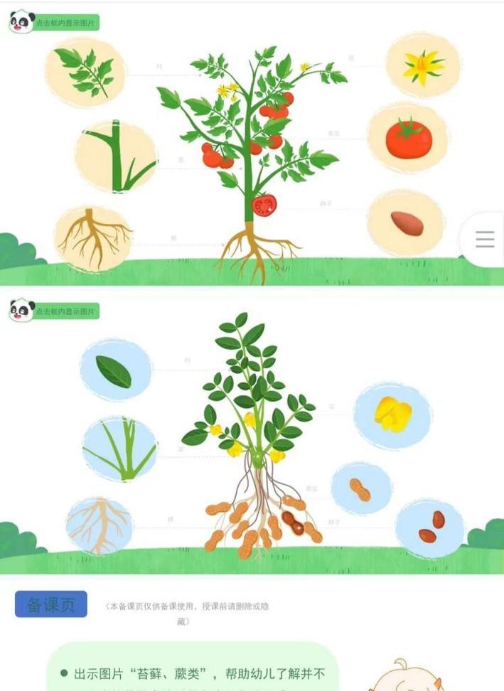 植物果实与种子如何区分？判断方法有哪些？