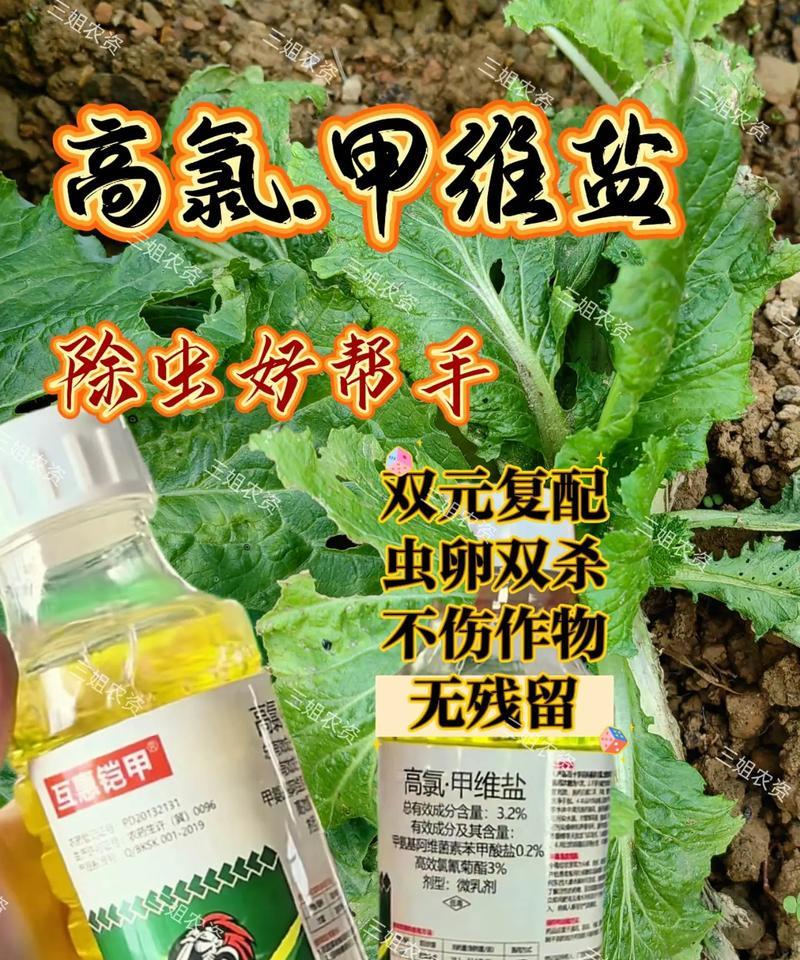 蔬菜长蚜虫的原因是什么？如何有效预防和控制？