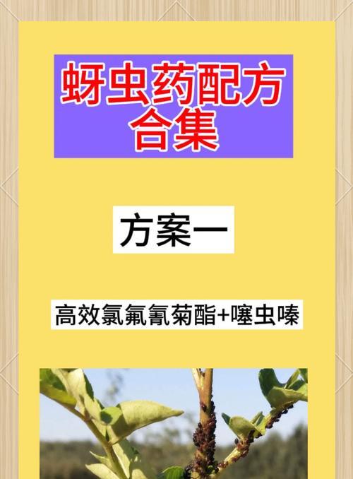 蔬菜长蚜虫的原因是什么？如何有效预防和控制？