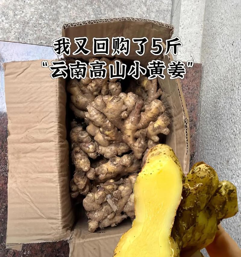 姜黄作为调料的用途是什么？它属于哪种植物？