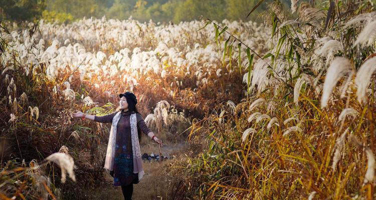 丝路花语的级别如何划分？丝路花语代表什么？