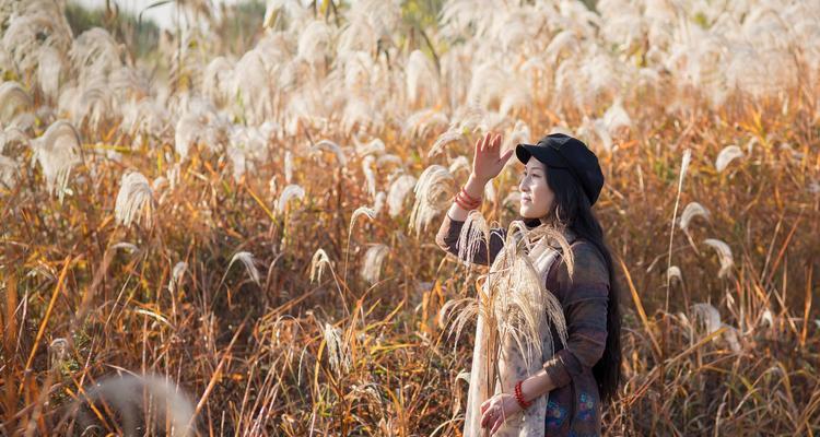 丝路花语的级别如何划分？丝路花语代表什么？