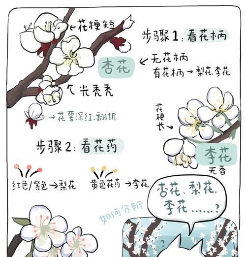 春日花语大结局有何深意？结局中的花语代表什么？