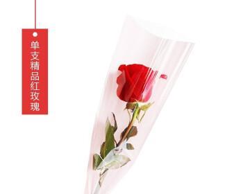 妇女节单支花束的花语是什么？单支花代表了什么？